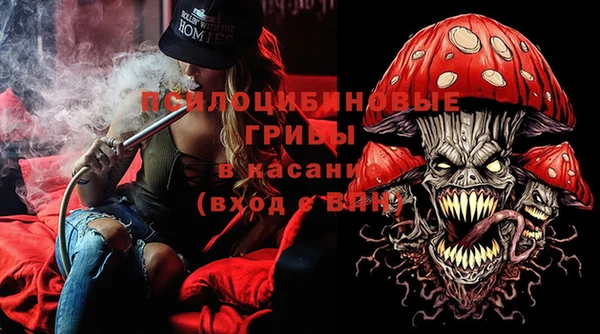 стаф Алзамай