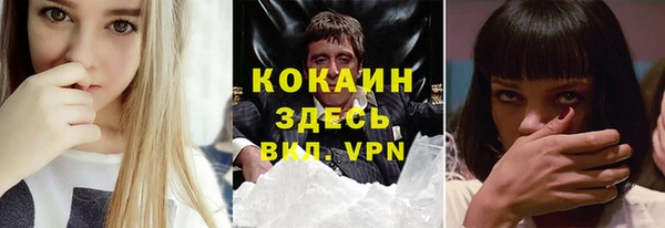 стаф Алзамай