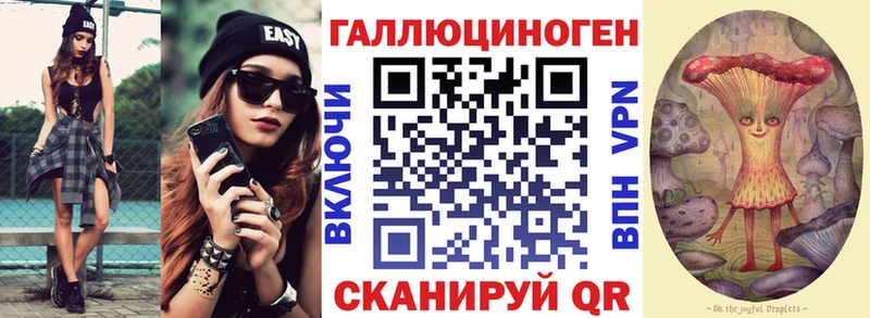 мега как войти  Яровое  Псилоцибиновые грибы Psilocybine cubensis  где можно купить наркотик 